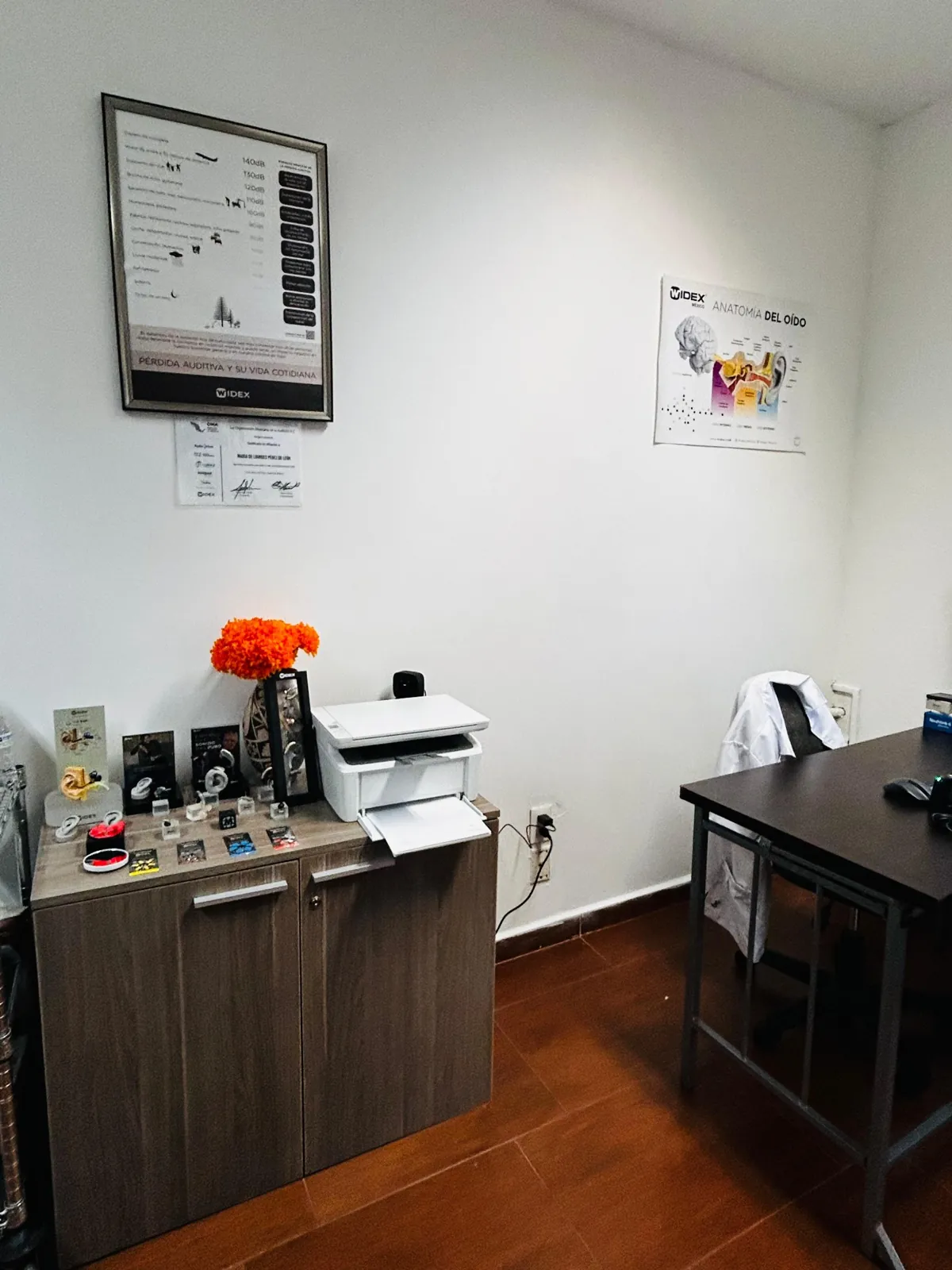 Exhibición de auxiliares auditivos y accesorios